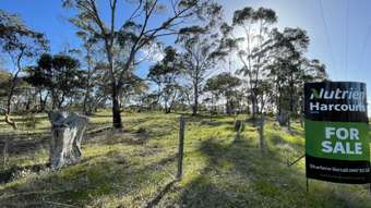 Farm Property for Sale - Crown Allo McMahon Street St Arnaud VIC 3478