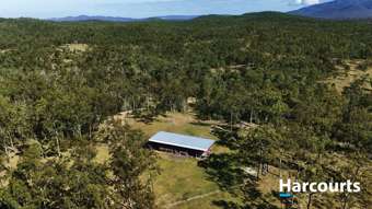 Farm Property for Sale - Lot 38 TENNINGERING ROAD Good Night QLD 4671