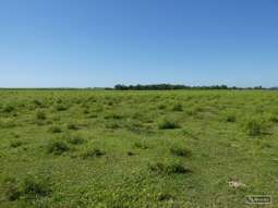 Farm Property for Sale - Lot 65 New Harbourline Road New Harbourline QLD 4858