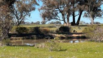 Farm Property for Sale - 4CA Calder Highway Wedderburn VIC 3518