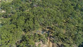 Farm Property for Sale - 1 Gaeta Road Gaeta QLD 4671