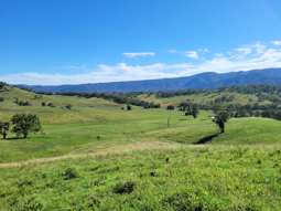 552 Neringla Road Neringla NSW 2622
