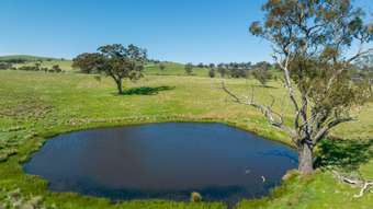 Farm Property for Sale - 182 Rockdell Road Lyndhurst NSW 2797