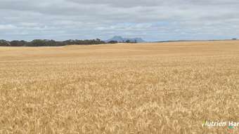 Farm Property for Sale - 653 Monjebup Road Monjebup WA 6338