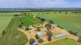 Farm Property for Sale - 104 Selection Road Cowra NSW 2794