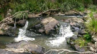 Farm Property for Sale - 776 Lower Bielsdown Road Megan Dorrigo NSW 2453