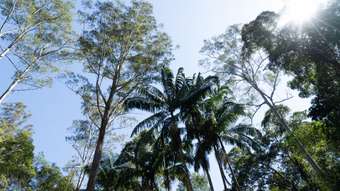 Farm Property for Sale - Lot 486 Windermere Road Sandy Creek QLD 4515