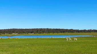 Farm Property for Sale - 4601 Doyle Road Bokal WA 6392