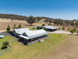 Farm Property for Sale - 1237 Peabody Road Molong NSW 2866