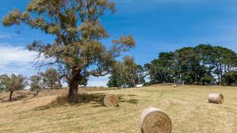 Farm Property for Sale - 2 McMahons Court Oberon NSW 2787