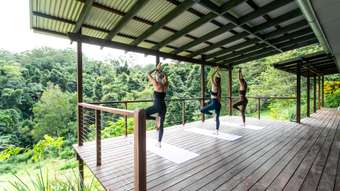 Farm Property for Sale - 543 Upper Pinbarren Creek Road Pinbarren QLD 4568