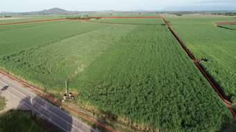 Farm Property for Sale - 78 Liebrecht Road Ayr QLD 4807