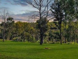 Farm Property for Sale - 34 Ashby Close Bargo NSW 2574