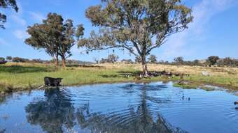 Farm Property for Sale - 2527 Sofala Road Wiagdon NSW 2795