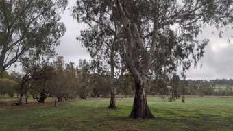 Farm Property for Sale - 164 Great Eastern Highway Bakers Hill WA 6562