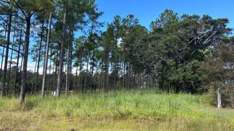 Farm Property for Sale - Lot 210 Arborthree Road Glenwood QLD 4570