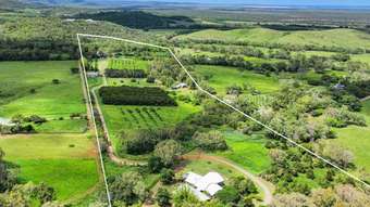Farm Property for Sale - 1341 Farnborough Road Farnborough QLD 4703
