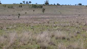 Farm Property for Sale -  Mountain Rd Wallumbilla QLD 4428