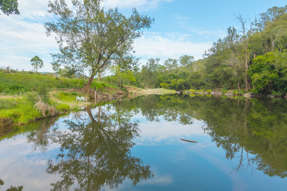 7366 Oxley Highway Mount Seaview NSW 2446