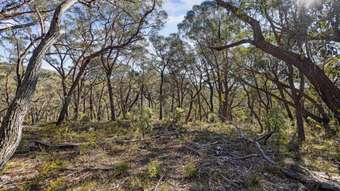 Farm Property for Sale - 976 Mares Forest Road Taralga NSW 2580