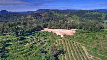 Farm Property for Sale - 224 Top Forestry Road Ridgewood QLD 4563