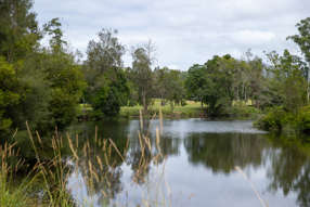 Farm Property for Sale - 300 Martells Road Bellingen NSW 2454