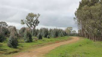 Farm Property for Sale - 1021 Careys Road Nareen VIC 3315