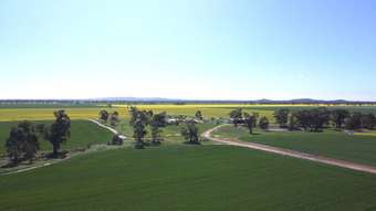 Farm Property for Sale - 197 Barkers Road Walbundrie NSW 2642