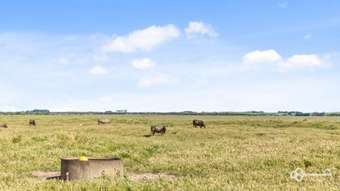 Farm Property for Sale - 1099 Eight Mile Creek Road Eight Mile Creek SA 5291