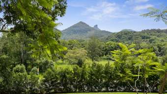 Farm Property for Sale - 1245 Kyogle Road Uki NSW 2484