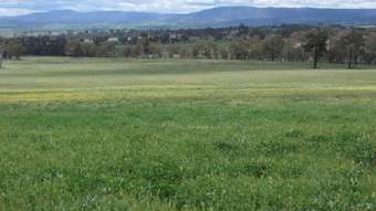 Farm Property for Sale - 714 O'connell Plains Road The Lagoon NSW 2795