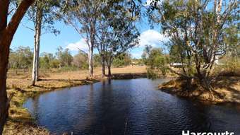 Farm Property for Sale - Lot 121 HAMANNS ROAD Apple Tree Creek QLD 4660