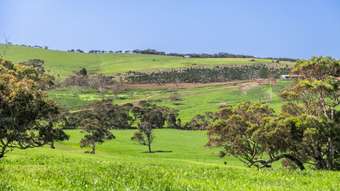 Farm Property for Sale - Lots 1474  Bennett Road Cape Jervis SA 5204