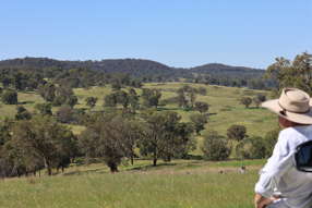 380 Nandi Road Canyonleigh NSW 2577