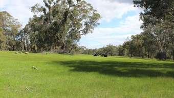 Farm Property for Sale - 132 Ridge View Avenue Boyup Brook WA 6244