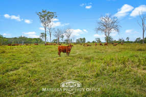 Farm Property for Sale - 764 Hodzic Road Biboohra QLD 4880