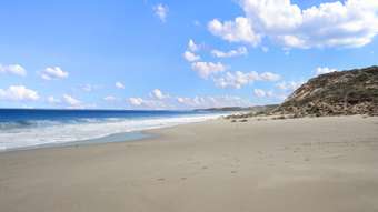 Farm Property for Sale - Lot 154 Diamond Lake Road Honiton SA 5576