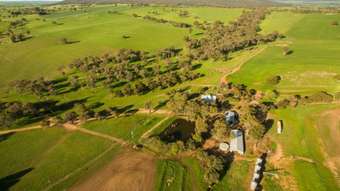 Farm Property for Sale - 919 Iandra Road Greenethorpe NSW 2809