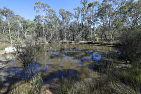 494 Jerralong Road Oallen NSW 2622