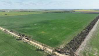 Farm Property for Sale - Lot 121 Wallup Hall Road Wallup VIC 3401