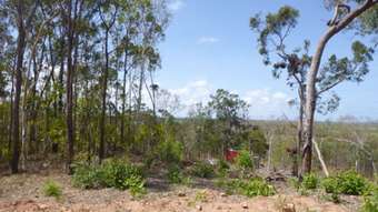 Farm Property for Sale - Lot 14 Probert Road Bambaroo QLD 4850