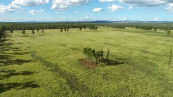 Farm Property for Sale - 225 BEILS ROAD Kingaroy QLD 4610