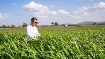 Farm Property for Sale - 353 Cassidys Lane Gooloogong NSW 2805