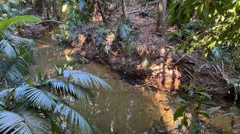 Farm Property for Sale - Jubilee Heights QLD 4860