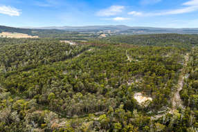 Farm Property for Sale - 315 Levendale Back Road Levendale TAS 7120