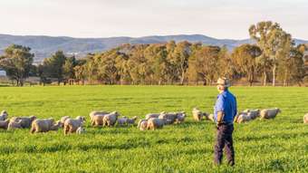 Farm Property for Sale - 63 Kiembah Lane Eugowra NSW 2806