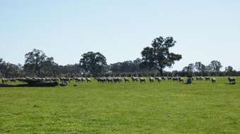 Farm Property for Sale - . Red Rock Road Glenisla VIC 3314