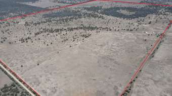 Farm Property for Sale - "Cres Sandy Hook Lane Wee Waa NSW 2388