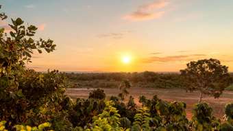 Farm Property for Sale - Lot 103 Plan 37645 Waterbank WA 6725