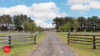Farm Property for Sale - 42 Burrabinga Road Tarago NSW 2580